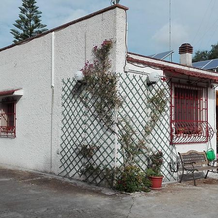 B&B Villa Lucia Mesagne Bagian luar foto