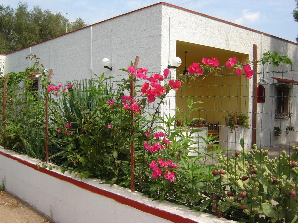 B&B Villa Lucia Mesagne Bagian luar foto