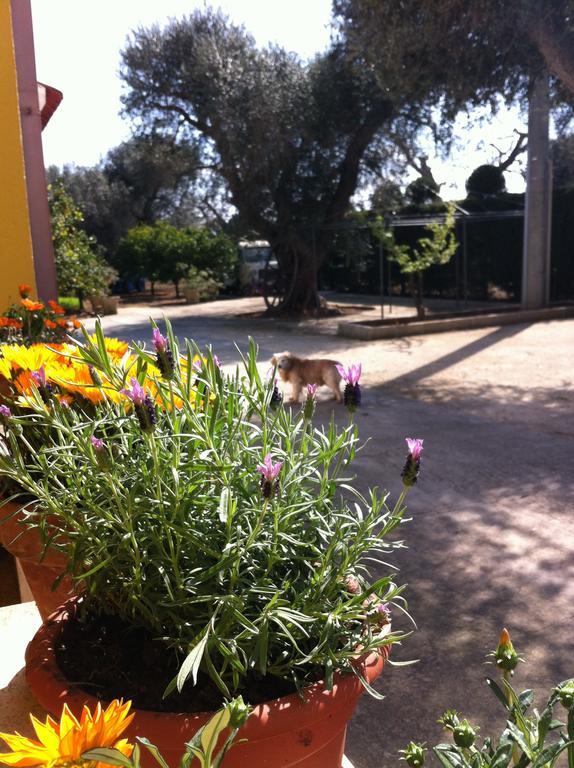 B&B Villa Lucia Mesagne Bagian luar foto