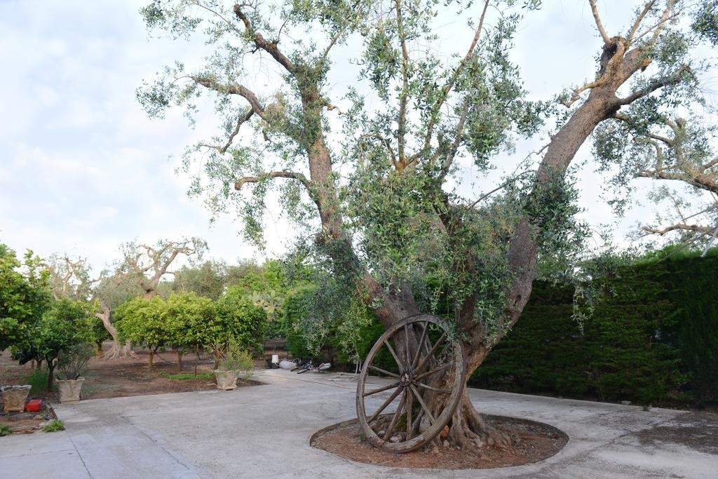 B&B Villa Lucia Mesagne Bagian luar foto