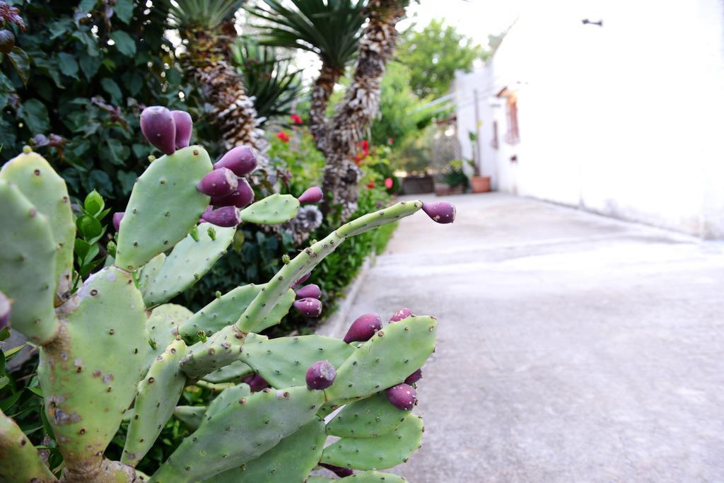 B&B Villa Lucia Mesagne Bagian luar foto