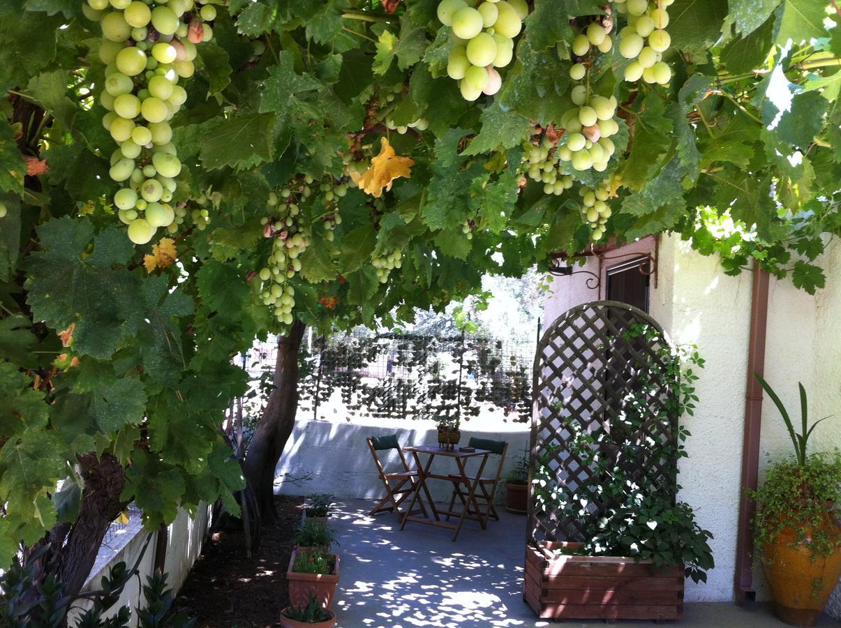 B&B Villa Lucia Mesagne Bagian luar foto