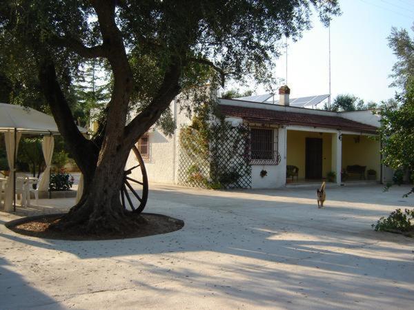 B&B Villa Lucia Mesagne Bagian luar foto